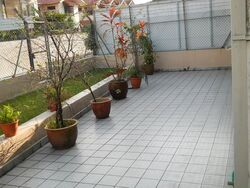 Tuan Sing Park (D28), Semi-Detached #592445551